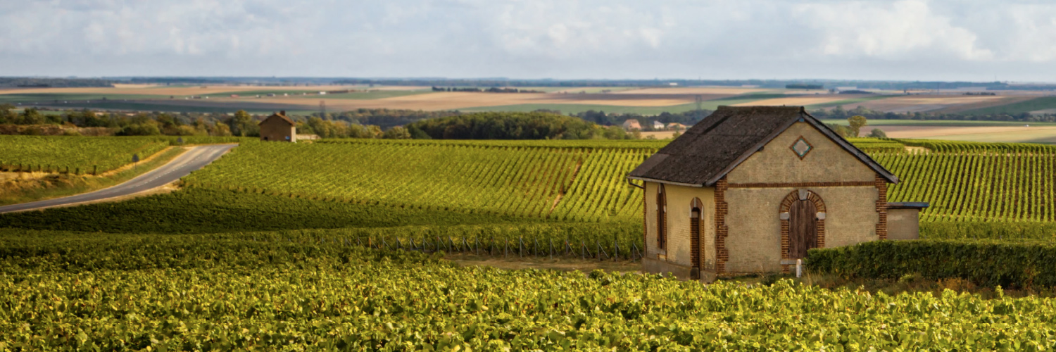 L’Essence du Champagne