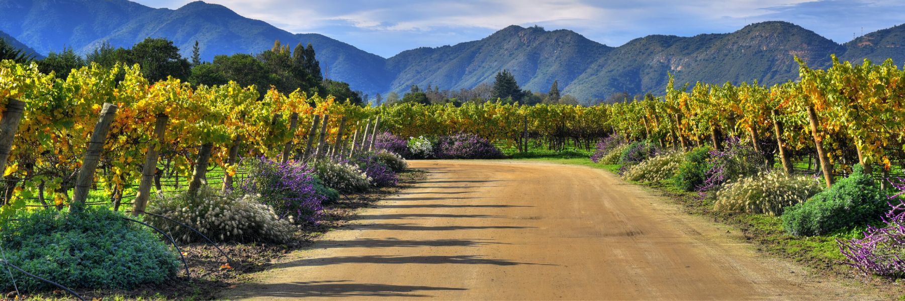 Exceptional Selections from Chile